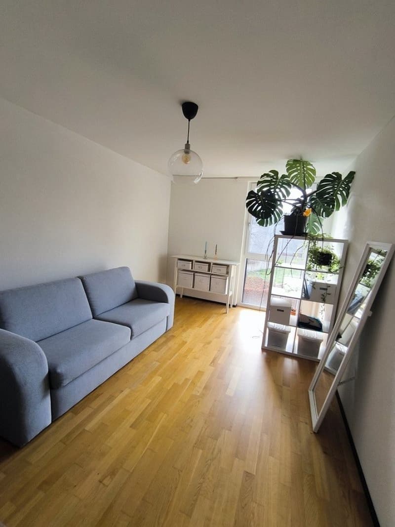 Gemütliche 2.5-Zimmer-Wohnung mit Balkon in Frauenfeld (3)