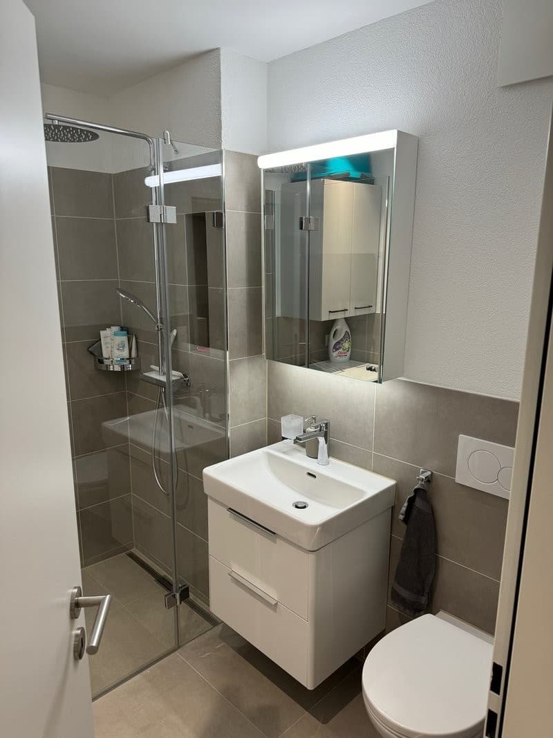 1 ,5 Zimmer-Wohnung in Zürich (3)