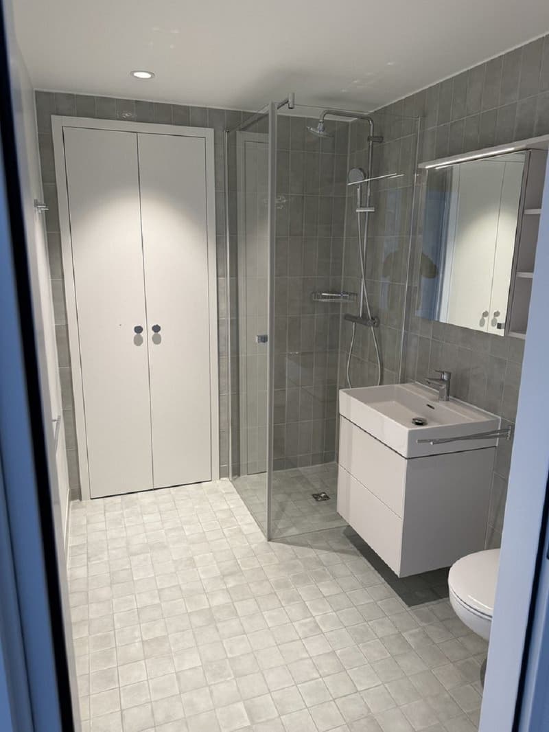 Moderne 3-Zimmer-Wohnung mit Balkon und schöner Aussicht in Muttenz (2)