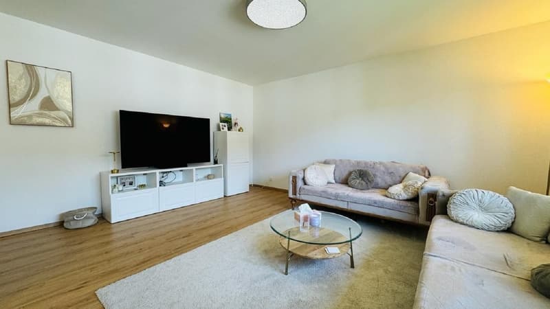 Gemütliche 2-Zimmer-Wohnung mit Balkon in Münchenstein ab sofort verfügbar! (2)
