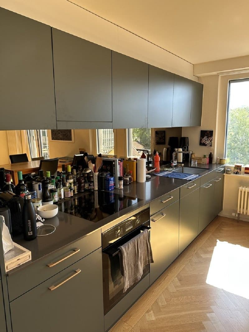 Charmante 2.5-Zimmer-Wohnung an der Langstrasse in Zürich (7)