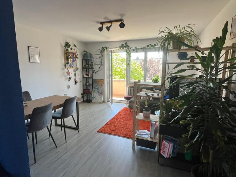 Charmante 2-Zimmer-Wohnung im 4. Stock in Biel/Bienne (9)