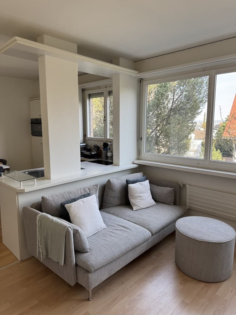Sonnige 2,5-Zimmer-Wohnung in Zollikon (2)