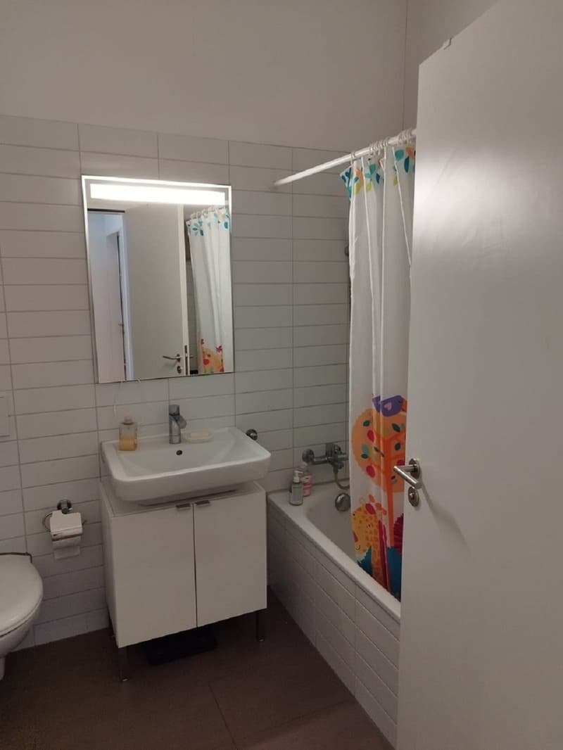 Helle 3-Zimmer-Wohnung mit Balkon in Dietikon sofort verfügbar! (1)