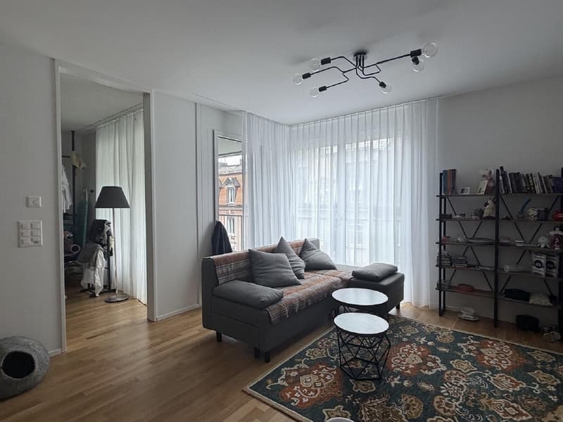 2 ½ Zimmer-Wohnung, 8045 Zurich (6)