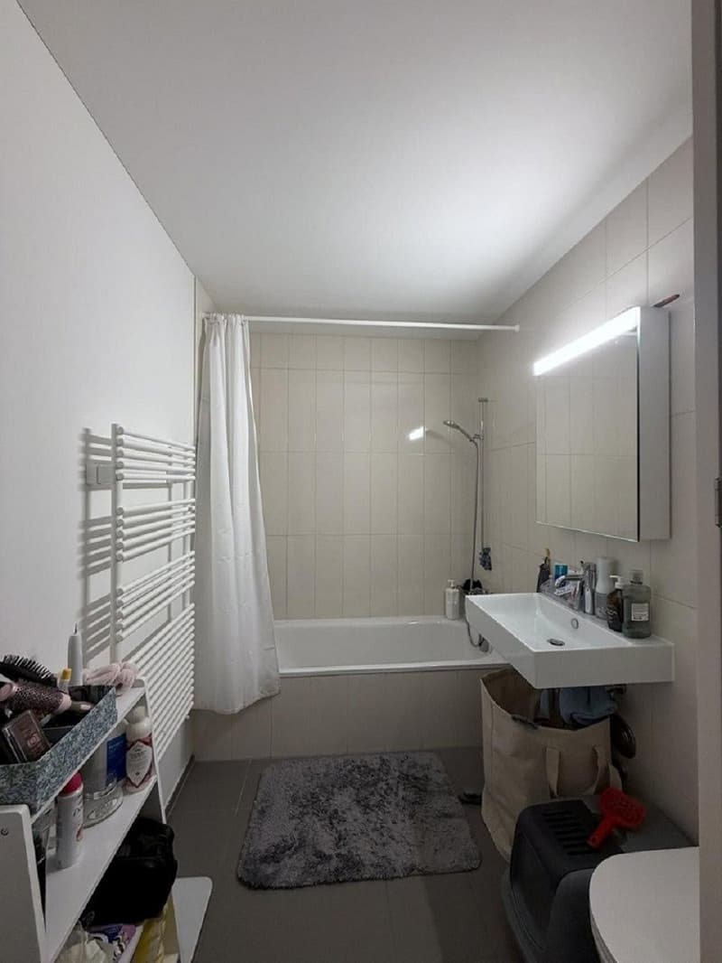 2 ½ Zimmer-Wohnung, 8045 Zurich (1)