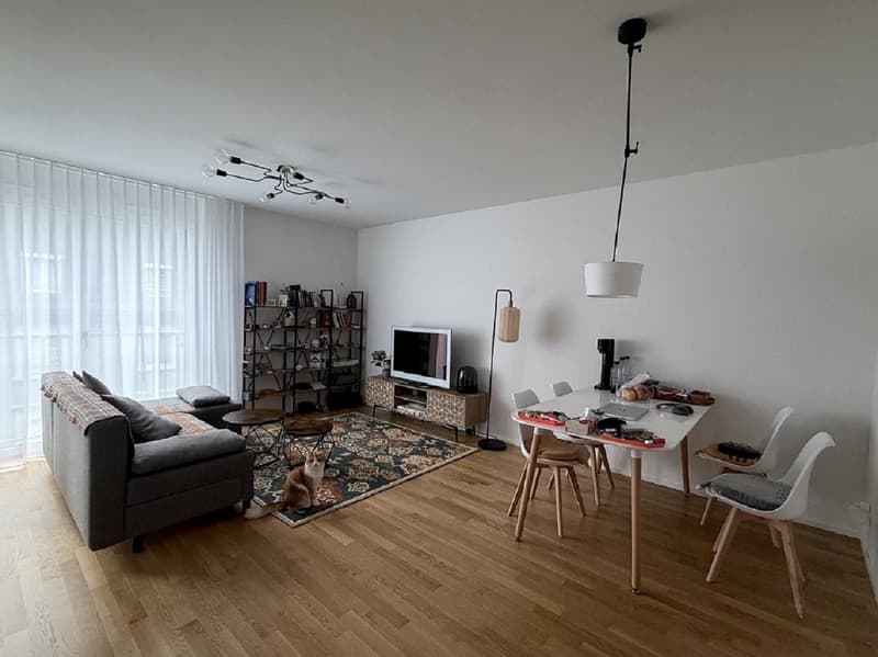 2 ½ Zimmer-Wohnung, 8045 Zurich (3)