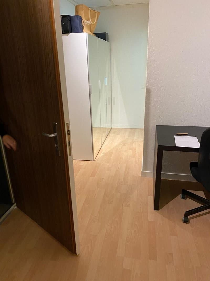 Sonnige 2,5-Zimmer-Wohnung in Zollikon (3)