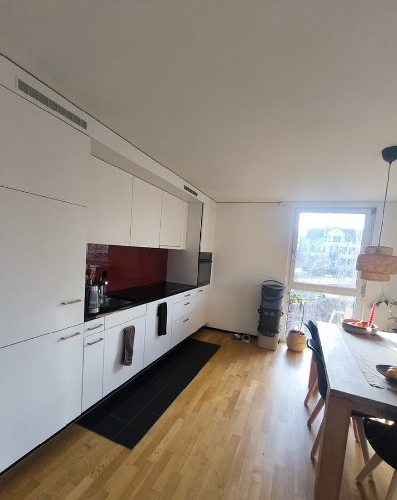 Gemütliche 2.5-Zimmer-Wohnung mit Balkon in Frauenfeld (4)