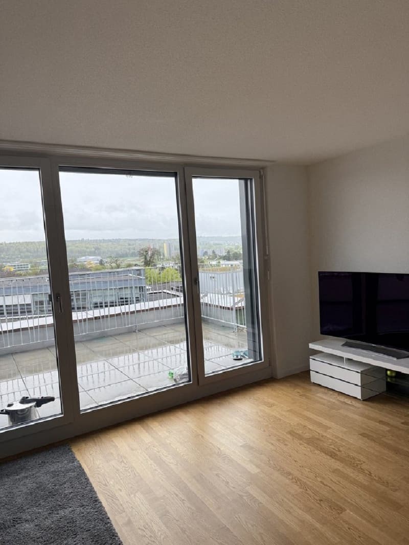 Moderne 1-Zimmer-Wohnung mit Balkon in Solothurn sofort verfügbar! (8)