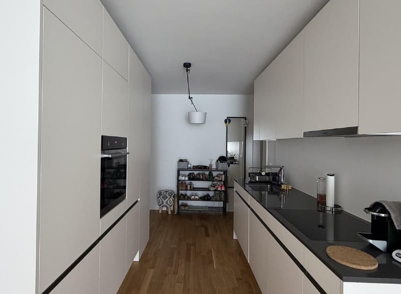 2 ½ Zimmer-Wohnung, 8045 Zurich (2)