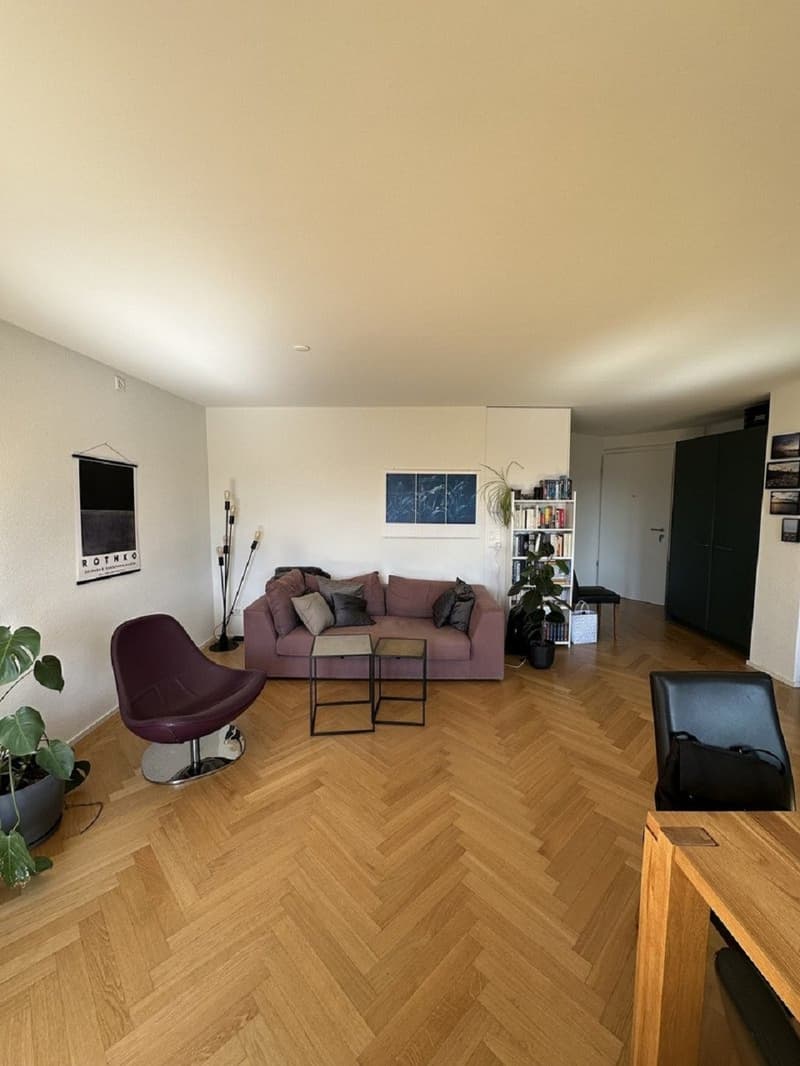 Charmante 2.5-Zimmer-Wohnung an der Langstrasse in Zürich (4)