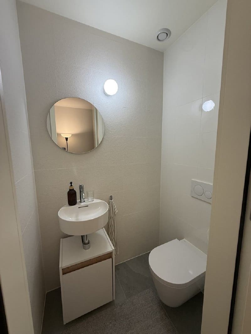 "Charmant appartement de 3 pièces au cur de Genève Grand-Rue " (5)