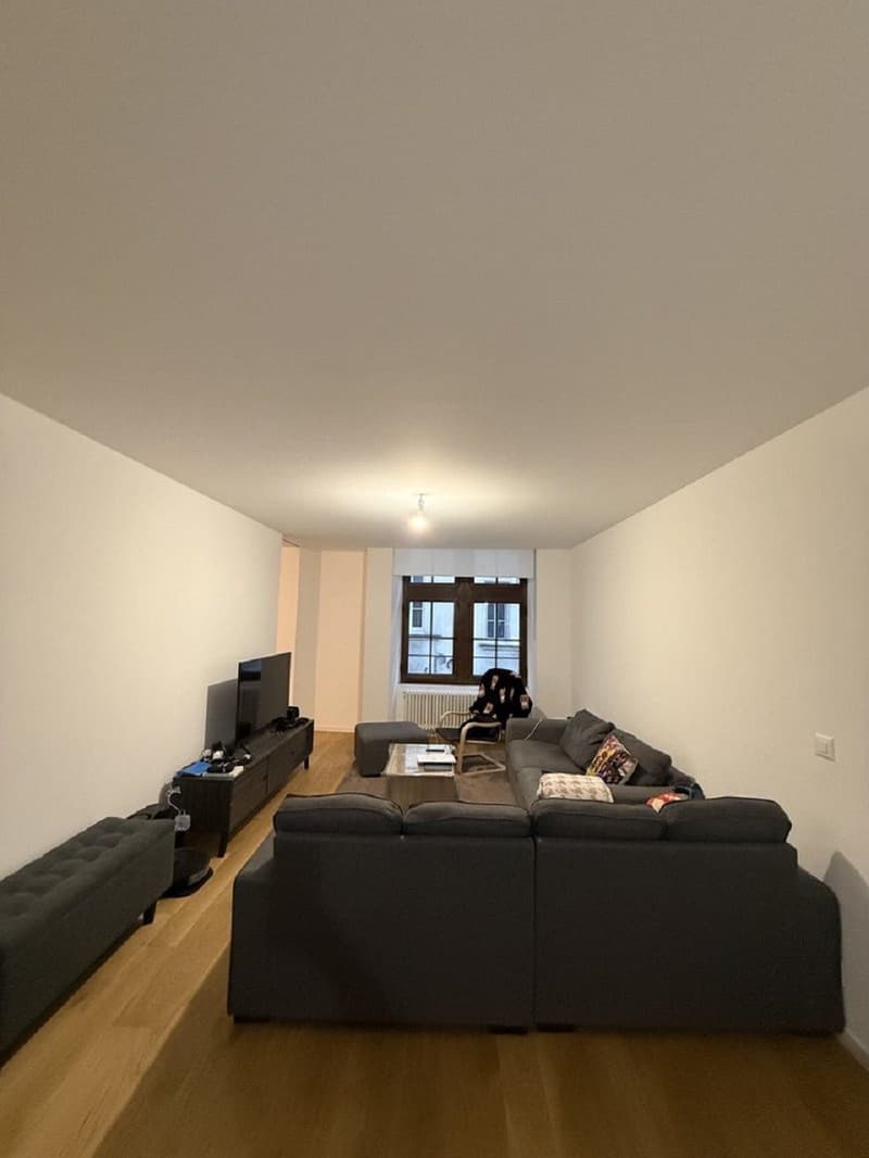 "Charmant appartement de 3 pièces au cur de Genève Grand-Rue " (1)