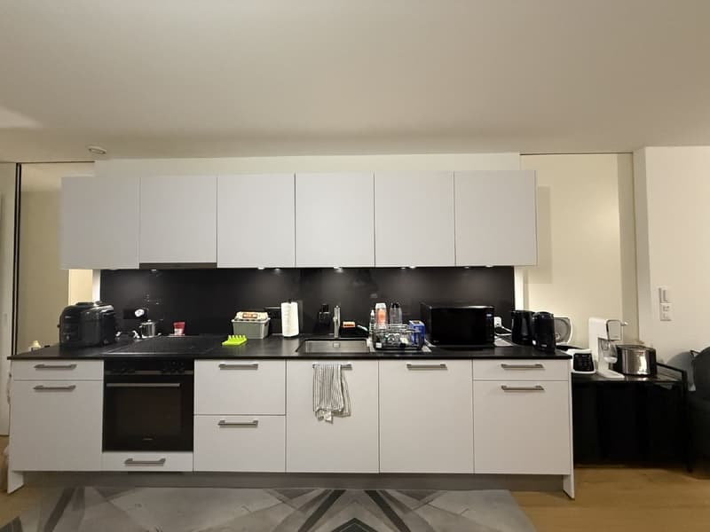 "Charmant appartement de 3 pièces au cur de Genève Grand-Rue " (9)