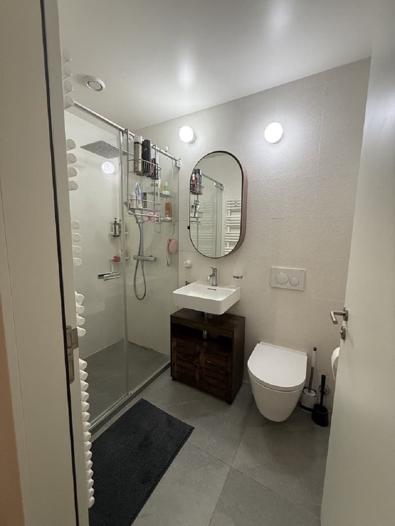 "Charmant appartement de 3 pièces au cur de Genève Grand-Rue " (8)