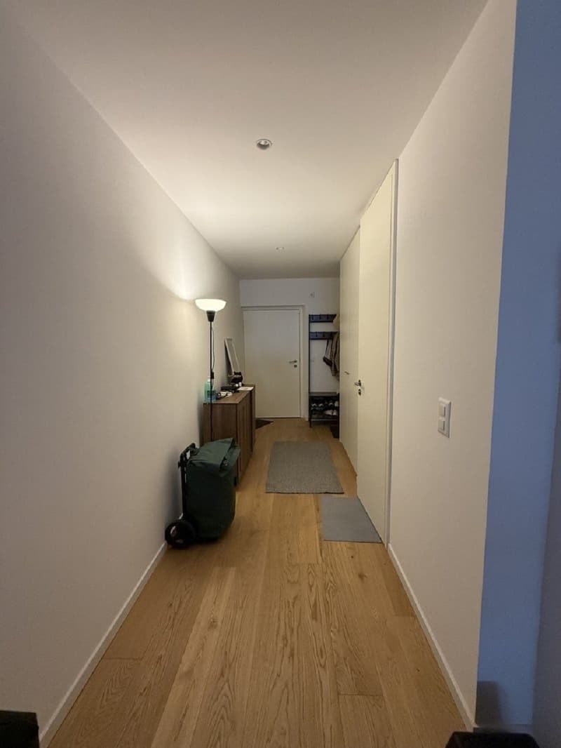 "Charmant appartement de 3 pièces au cur de Genève Grand-Rue " (3)