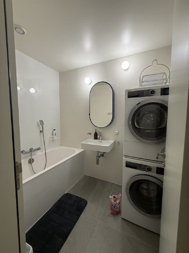 "Charmant appartement de 3 pièces au cur de Genève Grand-Rue " (7)