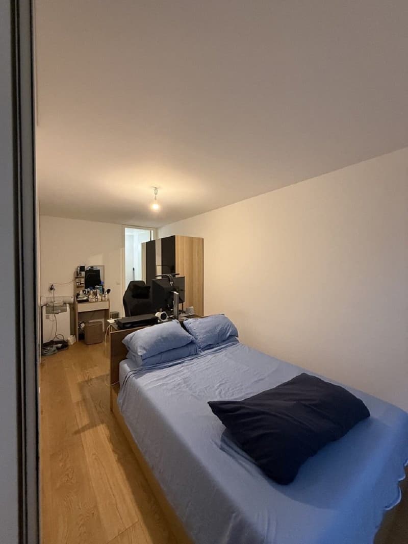 "Charmant appartement de 3 pièces au cur de Genève Grand-Rue " (2)