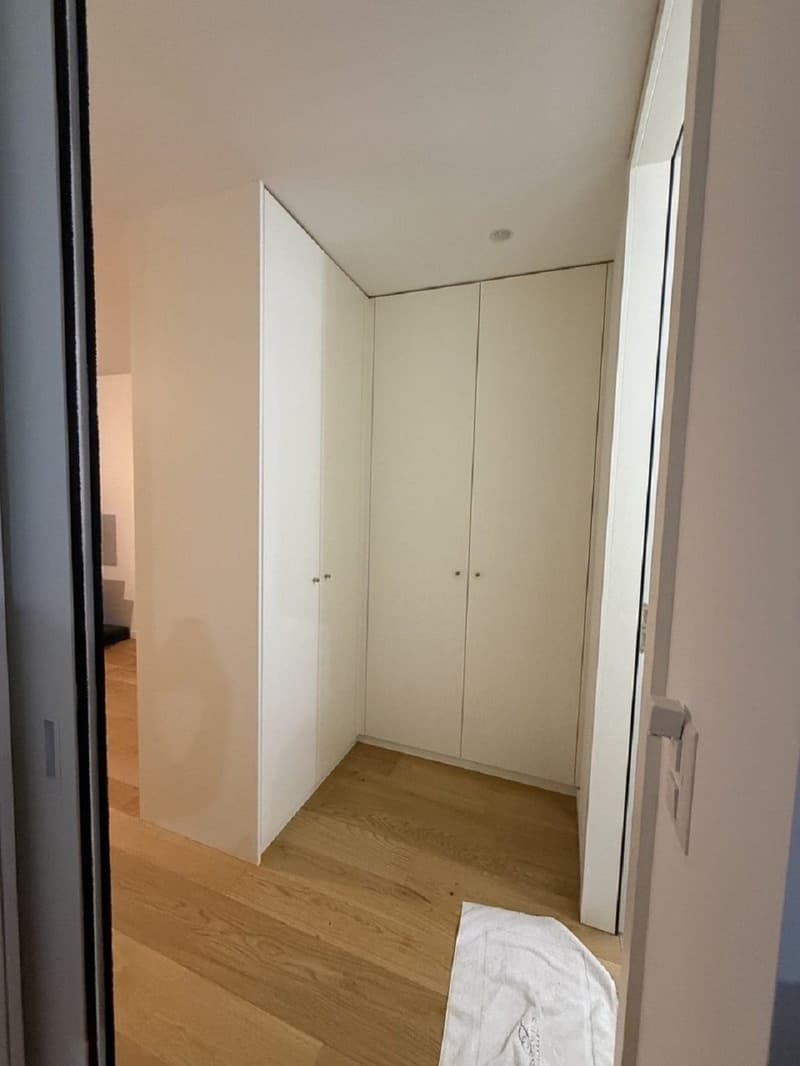 "Charmant appartement de 3 pièces au cur de Genève Grand-Rue " (4)