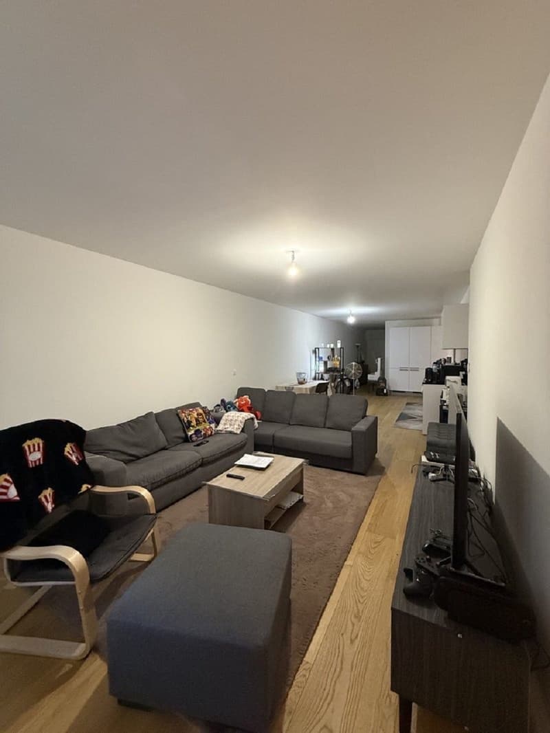 "Charmant appartement de 3 pièces au cur de Genève Grand-Rue " (6)