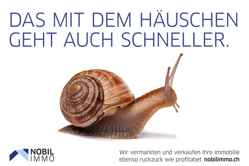 Historisches Refugium mit hohen Räumen im Marschallhaus am Rhein (13)