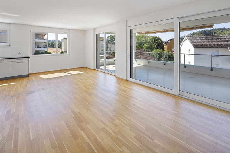 Moderne Wohnoase mit grosser Terrasse und viel Licht (3)