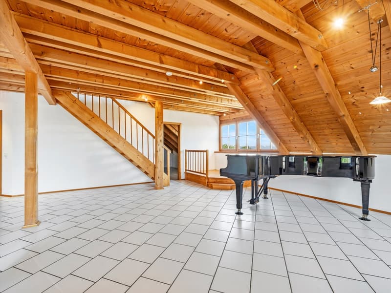 Charmante 5.5-Zimmer-Dachgeschosswohnung mit Panoramablick in Gaienhofen (7)
