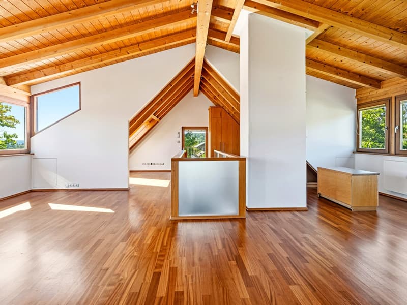 Privat. Großzügig. Besonders - Ein Refugium mit Bodenseeblick auf über 1.000 m2 Grundstück (23)