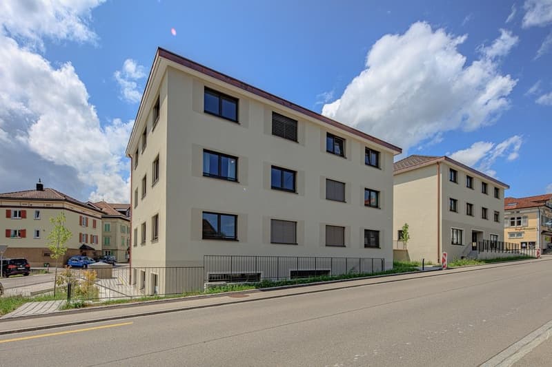 STILVOLL WOHNEN IN BÜTSCHWIL (1)