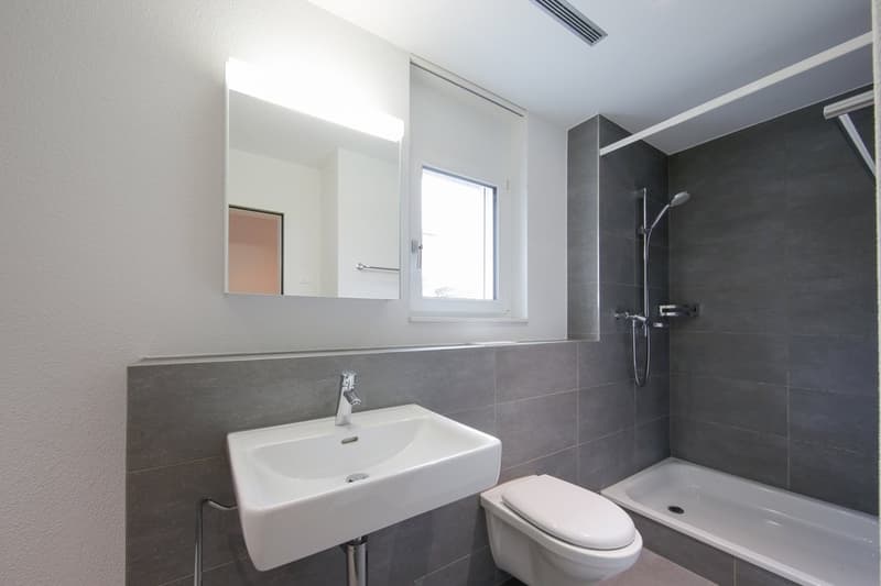 TOLLE WOHNUNG IN BERINGEN ZU VERMIETEN (10)