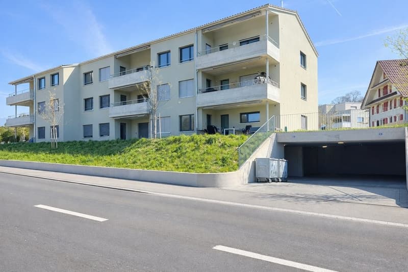 GEMÜTLICHE 4.5 ZIMMER-WOHNUNG IN HITZKIRCH (1)