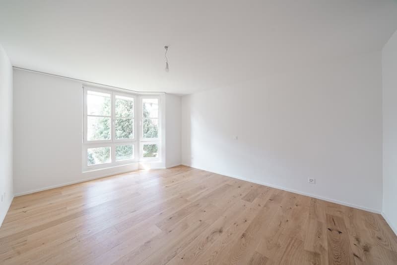 GROSSZÜGIGE HELLE WOHNUNG- FRISCH SANIERT (7)