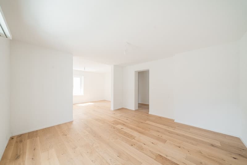 GEMÜTLICHE 2.5 ZIMMER-WOHNUNG IN ST. GALLEN (4)