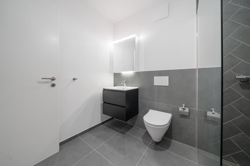 MODERNE UND HELLE 2.5-ZIMMER-WOHNUNG IM ZENTRUM VON DIESSENHOFEN (8)