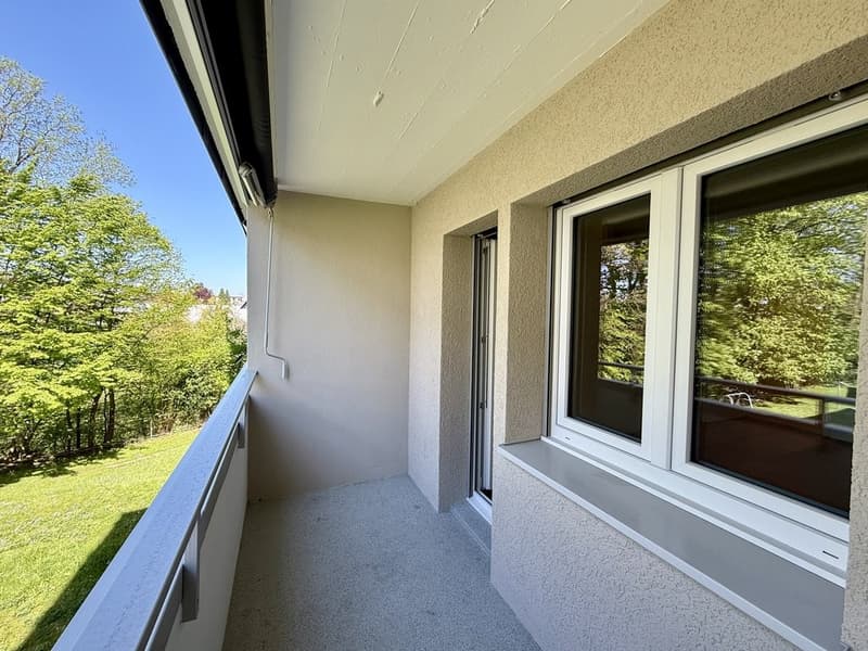 CHARMANTE 3.5 ZIMMER ATTIKAWOHNUNG ZU VERMIETEN (1)