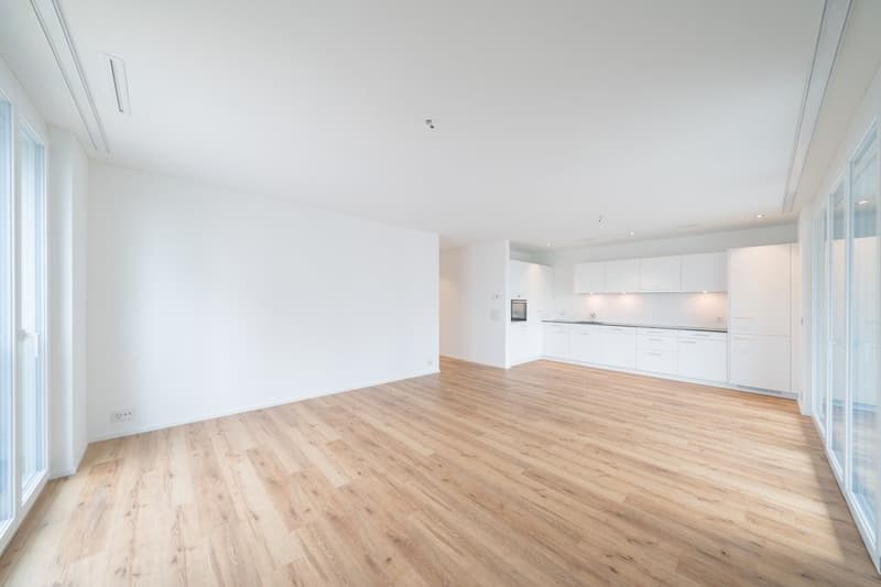 MODERNE 4.5 ZIMMER-WOHNUNG IN BISCHOFSZELL (7)