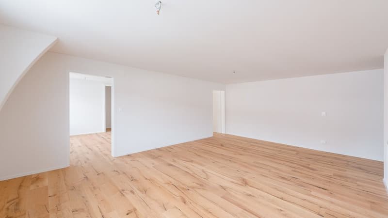 MODERNE UND CHARMANTE WOHNUNG SUCHT NACHMIETER (6)