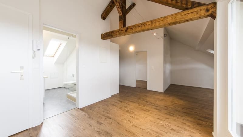 GEMÜTLICHE WOHNUNG AN GUTER LAGE - 2x NETTOMIETZINS GESCHENKT (3)