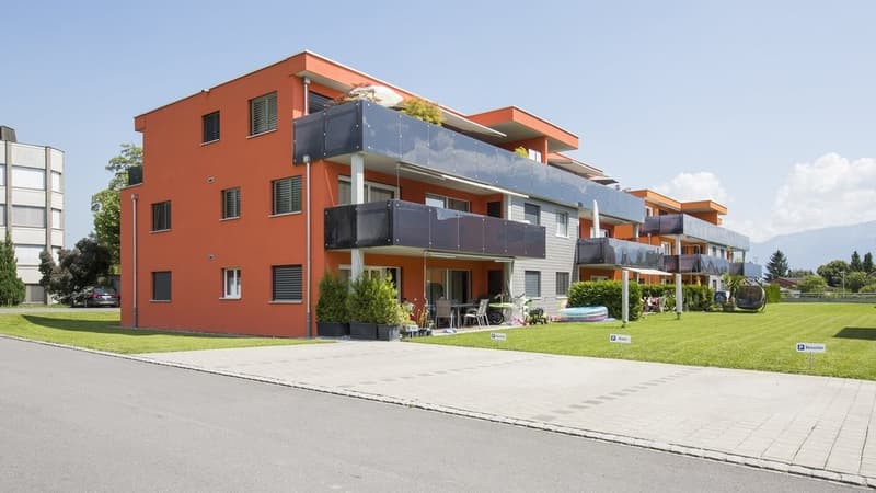 TRAUMHAFTE ATTIKAWOHNUNG IN ALTSTÄTTEN (10)