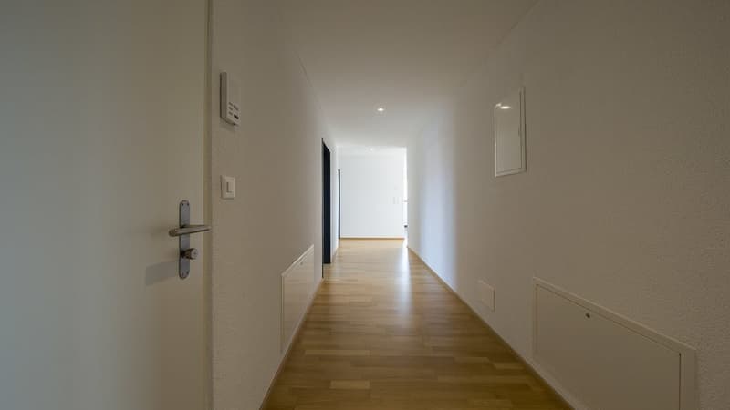 TRAUMHAFTE ATTIKAWOHNUNG IN ALTSTÄTTEN (9)
