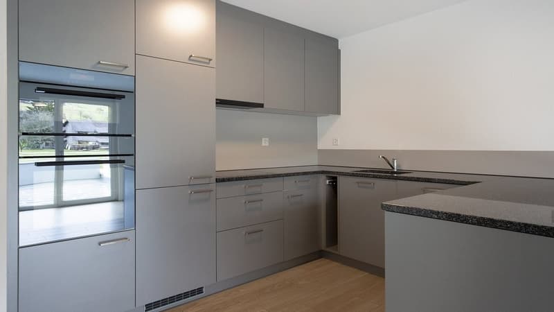 GROSSZÜGIGE UND MODERNE 2.5 ZIMMER-WOHNUNG IN REINACH AG (3)