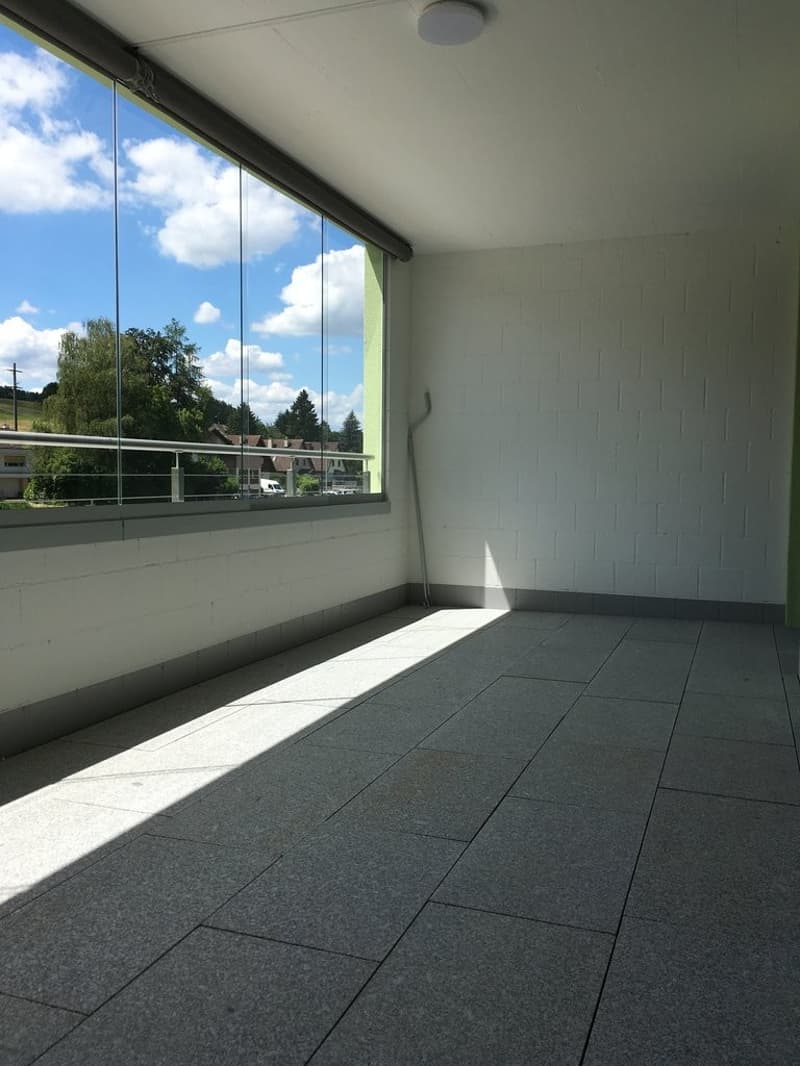 GROSSZÜGIGE UND MODERNE 2.5 ZIMMER-WOHNUNG IN REINACH AG (7)