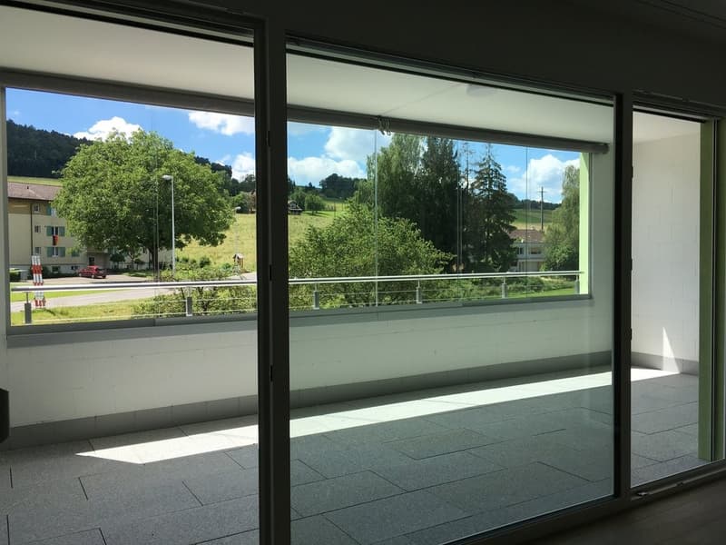 GROSSZÜGIGE UND MODERNE 2.5 ZIMMER-WOHNUNG IN REINACH AG (8)