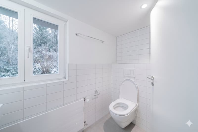 MODERN SANIERTE WOHNUNG MIT HISTORISCHEM CHARME IN UNTERÄGERI (8)