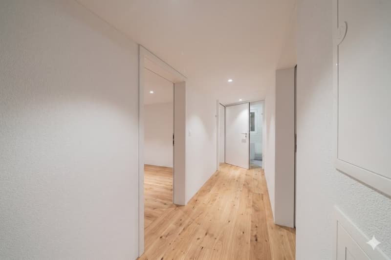 MODERN SANIERTE WOHNUNG MIT HISTORISCHEM CHARME IN UNTERÄGERI (9)