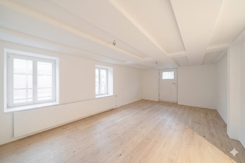 MODERN SANIERTE WOHNUNG MIT HISTORISCHEM CHARME IN UNTERÄGERI (4)