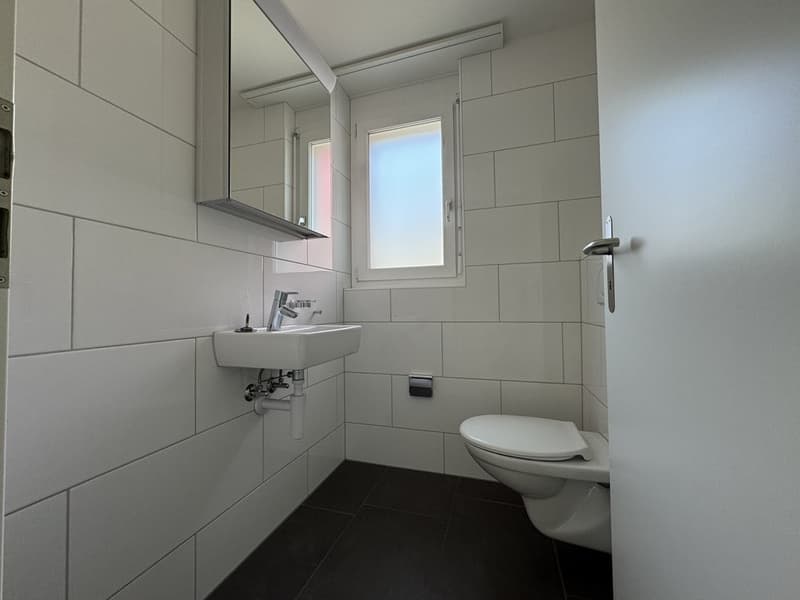 GEMÜTLICHE 4.5 ZIMMER-WOHNUNG IN BUBENDORF (8)