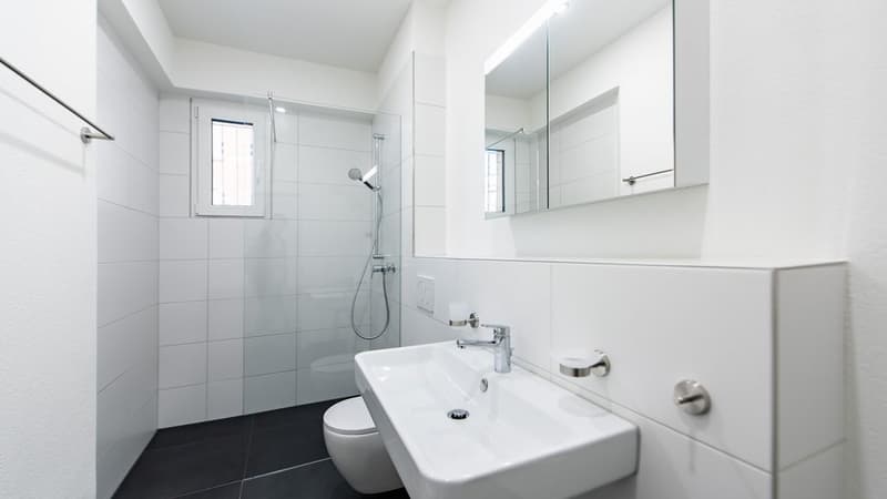 SANIERTER WOHNKOMFORT AN TOP LAGE IN ST. GALLEN (6)