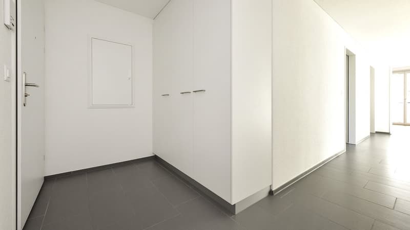 LICHTDURCHFLUTET UND GROSSZÜGIG (11)